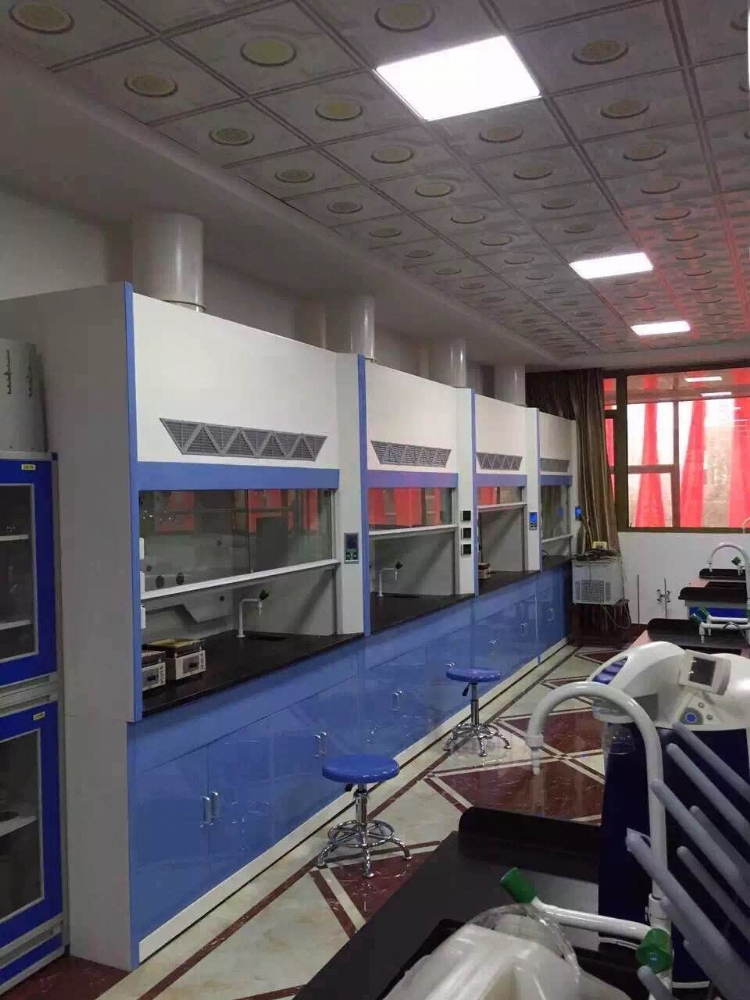 化工厂耐腐蚀通风柜1